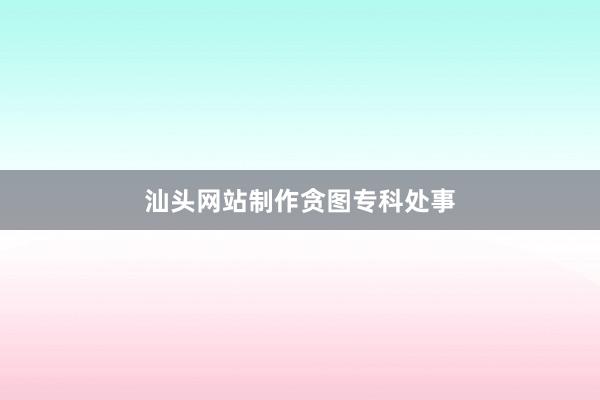 汕头网站制作贪图专科处事