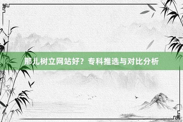 那儿树立网站好？专科推选与对比分析