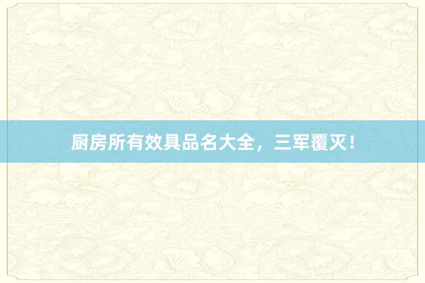 厨房所有效具品名大全，三军覆灭！