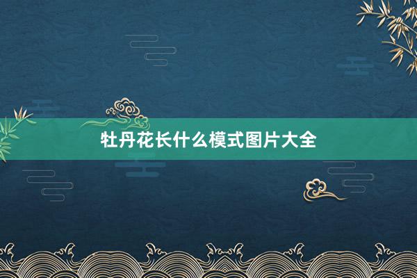 牡丹花长什么模式图片大全
