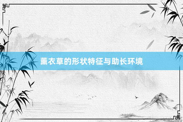 薰衣草的形状特征与助长环境