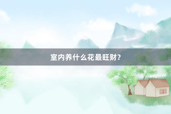 室内养什么花最旺财？